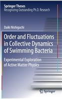 Order and Fluctuations in Collective Dynamics of Swimming Bacteria