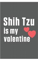 Shih Tzu is my valentine