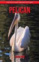 Pelican: Fun Facts and Amazing Pictures