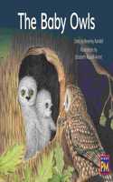 Baby Owls: Bookroom Package Red Fiction Level 4 Grade 1