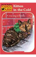 Kitten in the Cold