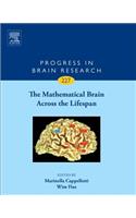 Mathematical Brain Across the Lifespan
