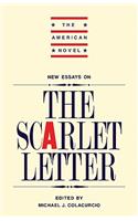 New Essays on 'The Scarlet Letter'