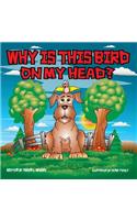 Why Is This Bird On My Head?
