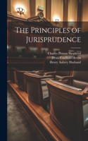 Principles of Jurisprudence