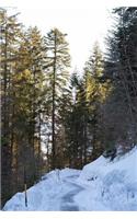 Snow Packed Mountain Road on a Sunny Day Journal