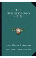 Grasses Of Ohio (1917)