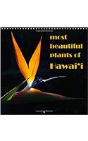Most Beautiful Plants of Hawai'i 2018