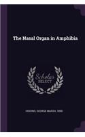 The Nasal Organ in Amphibia