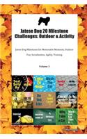 Jatese Dog 20 Milestone Challenges: Outdoor & Activity Jatese Dog Milestones for Memorable Moments, Outdoor Fun, Socialization, Agility, Training Volume 3