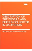 Description of the Fossils and Shells Collected in California