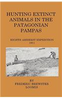 Hunting Extinct Animals In The Patagonian Pampas