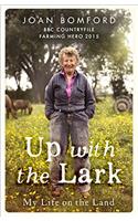 Up with the Lark
