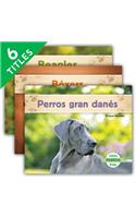 Perros Set 2 (Dogs) (Set)