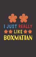 I Just Really Like Boxmatian: Dog Training Logbook For Peoples Who Loves Their Boxmatian Dog