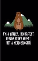 I'm A Jittery, Inconsistent, Reddish Brown Rodent, Not A Meteorologist: Funny Groundhog Day Quote 2020 Planner - Weekly & Monthly Pocket Calendar - 6x9 Softcover Organizer - For Meteorology Fans