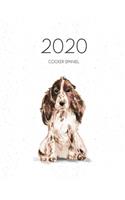 2020 Cocker Spaniel