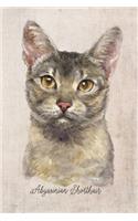 Abyssinian Shorthair Cat Portrait Notebook