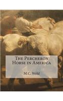 The Percheron Horse in America