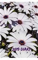 2019 Diary: African Daisies Week to View Planner (6x9 80 Pages A5)