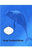 Strap Toothed Whale Wide Ruled Line Paper Composition Book
