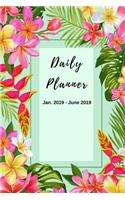 Daily Planner Jan. 2019 - June 2019: 6 X 9 Travel Size (6 Month Daily Calendar)