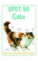 Spot 50 - Cats