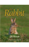 The Rabbit