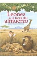 Leones a la Hora del Almuerzo