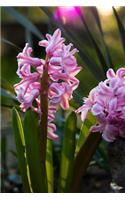 Beautiful Pink Hyacinth Flower Stalks Journal: Take Notes, Write Down Memories in this 150 Page Lined Journal