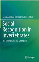 Social Recognition in Invertebrates