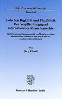 Zwischen Rigiditat Und Flexibilitat: Der Verpflichtungsgrad Internationaler Menschenrechte
