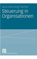 Steuerung in Organisationen