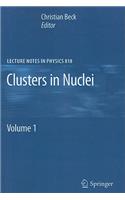 Clusters in Nuclei