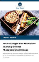 Auswirkungen der Rhizobium-Impfung und der Phosphordüngermenge