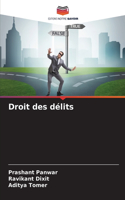 Droit des délits