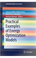 Practical Examples of Energy Optimization Models