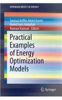 Practical Examples of Energy Optimization Models