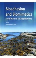 Bioadhesion and Biomimetics