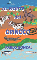 Norte del Orinoco