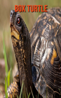 Box Turtle: Amazing Photos & Fun Facts Book About Box Turtle For Kids