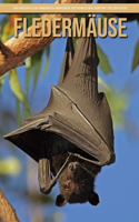 Fledermäuse