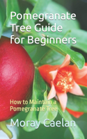 Pomegranate Tree Guide for Beginners: How to Maintain a Pomegranate Tree