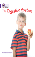 The Digestive System