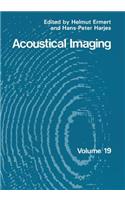 Acoustical Imaging