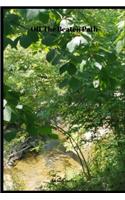Off The Beaten Path