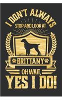I Don't Always Stop and Look At Brittany OH Wait, Yes I Do!