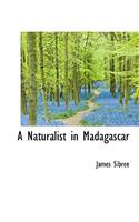 A Naturalist in Madagascar