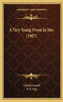 A Very Young Ovum In Situ (1907)