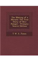 The Making of a Miracle: The True Story of New Pompei - Primary Source Edition